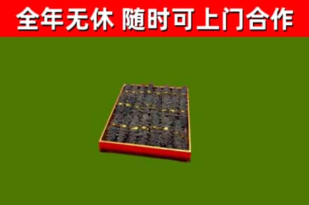 太康县回收海参
